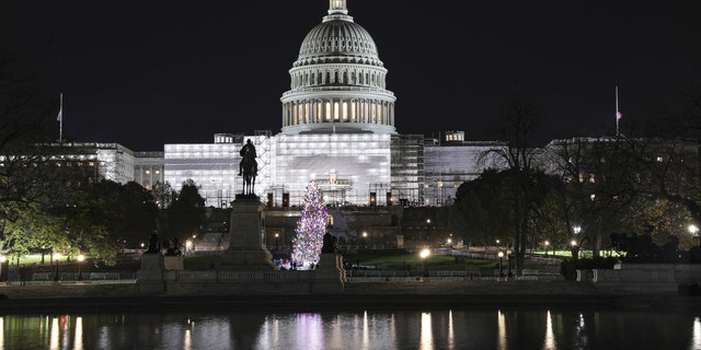 The lighting of the US Capitol Christmas Tree in Washington, DC on November 29, 2022. 