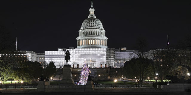 The lighting of the US Capitol Christmas Tree in Washington, DC Nov. 29, 2022. 