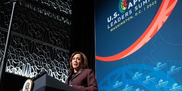 U.S. Vice President Kamala Harris speaks during the African and Diaspora Young Leaders Forum at the National Museum of African American History and Culture during the U.S.-Africa Leaders Summit in Washington, D.C., Dec. 13, 2022.  