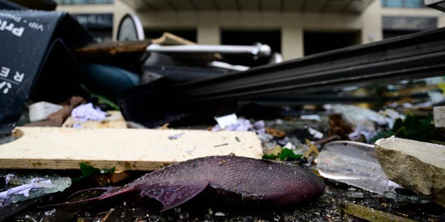 A dead fish lies in the debris in front of the Radisson Blu hotel, where a huge aquarium located in the hotel's lobby burst on Dec. 16, 2022, in Berlin.