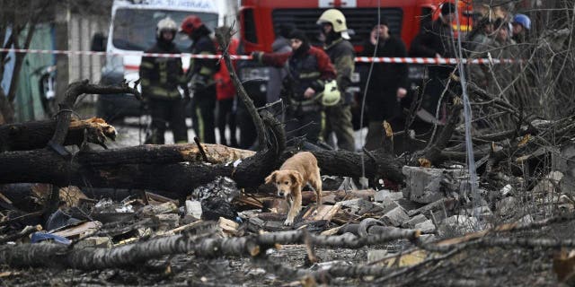 A dog walks among debris of homes destroyed by a missile attack in the outskirts of Kyiv Dec. 29, 2022, following a Russian missile strike on Ukraine. 