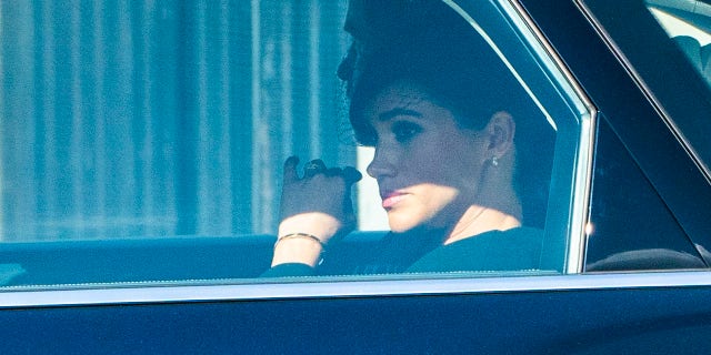 Arthur Edwards said that all royal wives have struggled at one point.