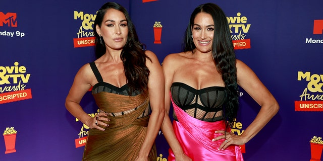 Brie Bella and Nikki Bella welcomed their sons a day apart.