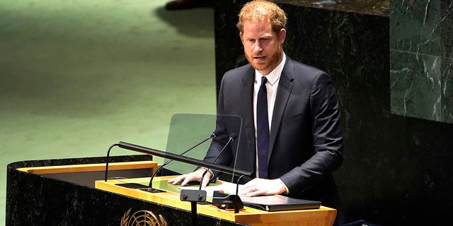 Prince Harry, the Duke of Sussex, delivers remarks to the General Assembly during the Nelson Mandela International Day at the United Nations Headquarters on July 18, 2022, in New York City. 