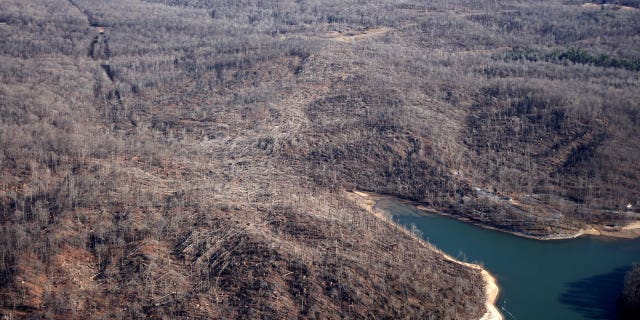 In this aerial view, the path of a tornado that passed through the area three days prior is visible after it cut through the Land Between the Lakes National Recreation Area on Dec. 13, 2021, near Calvert City, Kentucky.