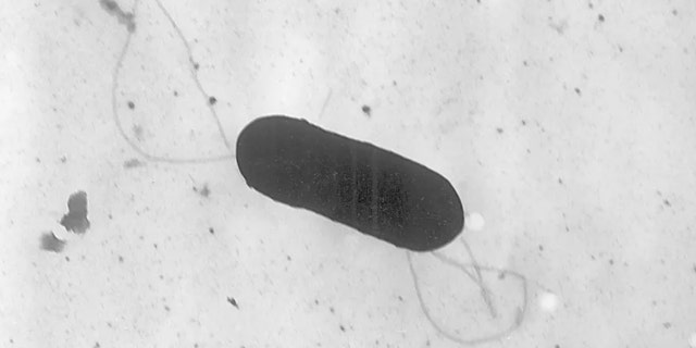 US health officials have said at least one death has been linked to an outbreak of listeria food poisoning associated with sliced deli meats and cheeses that has sickened 16 people in six states, 13 of whom have been hospitalized .