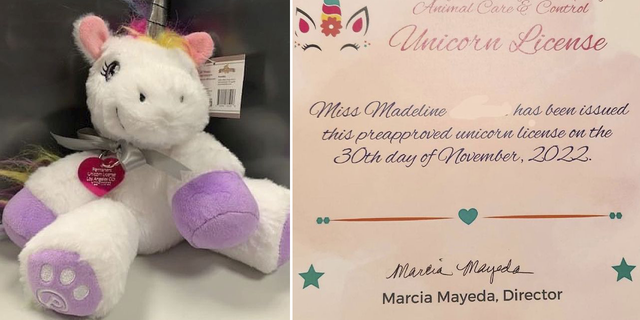 Madeline, a 6-year-old girl from California, was awarded a pre-approved unicorn license and doll from the Los Angeles County Animal Care and Control. She wrote to the agency to ask if it's OK to keep a unicorn in her backyard.
