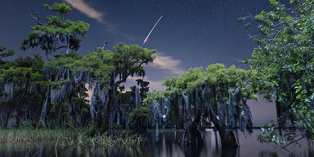 A SpaceX Falcon 9 rocket, launched from Cape Canaveral in the early hours of June 19, streaks above a stand of bald cypress trees.