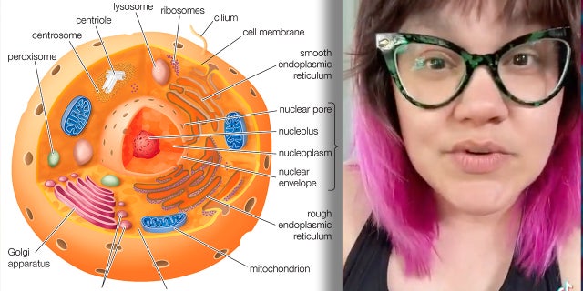 Science teacher claiming cell biology is part of 'capitalist indoctrination.' 