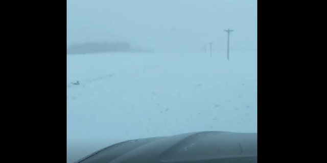 Winter storm conditions along a road in Cambridge, Minnesota, on Wednesday afternoon.