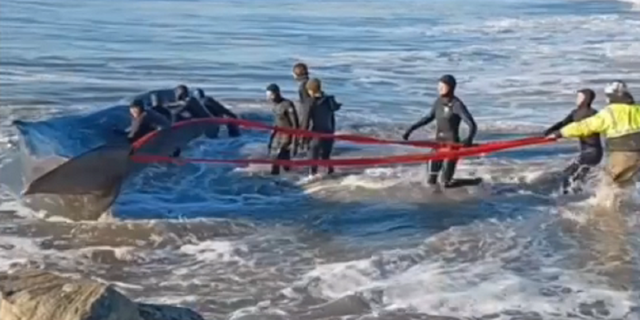 The Army Corps of Engineers were reported to be among the agencies that responded to the scene Tuesday in Rockaway Beach, Queens, New York City.