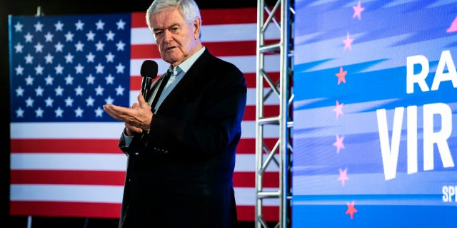 Former House Speaker Newt Gingrich speaks during a rally at Ballyhoos restaurant one day before the midterm elections on Monday, Nov. 7, 2022, in Virginia Beach, Virginia.