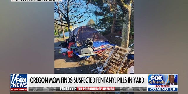 Une mère de Portland a trouvé des pilules de fentanyl dans son jardin 