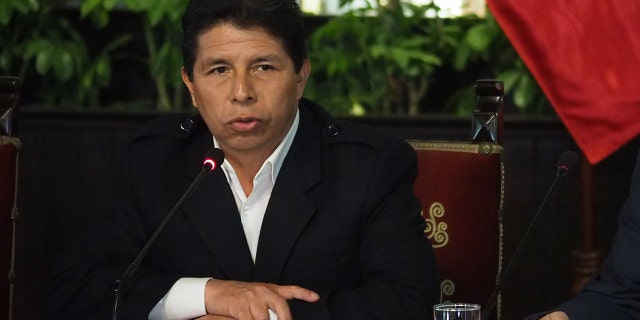 Pedro Castillo was removed as Peru's president after a congressional vote on Dec. 7, 2022.