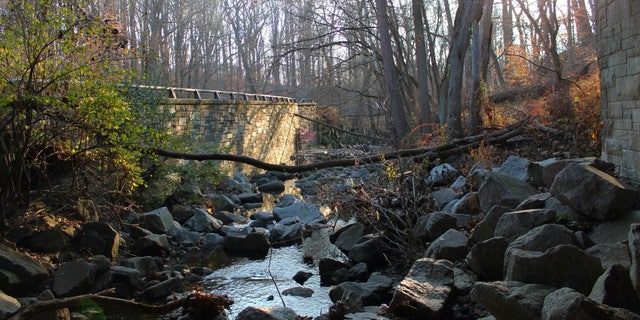 Local fliers urged city residents to complain to the Rock Creek National Park Service about the clearing of homeless from a park in Tenleytown, D.C.