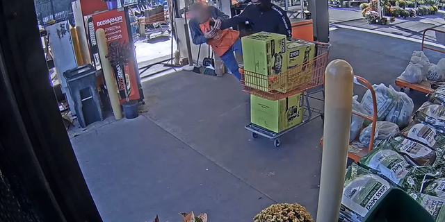The elderly worker approached the alleged shoplifted and the suspect shoved him to the ground. 