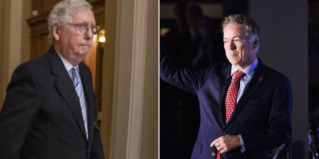 Sen. Rand Paul called out his fellow Senate Republicans for voting in favor of the spending bill.