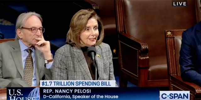 Nancy Pelosi accidentally wished people a "Happy Shwanza" on the floor of the house on Friday.