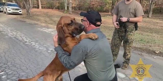 Three-year-old bloodhound Gunner was reunited with his handler about 25 hours after he went missing during a training exercise at Kings Mountain State Park Living History Farm in South Carolina, on Wednesday. 