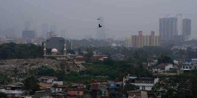 Smog and fog shroud the skyline of Colombo, Sri Lanka December 9, 2022. Schools across Sri Lanka were forced to close on Friday due to unhealthy air quality.