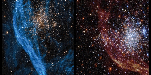 These Hubble images show the star cluster NGC 1850 in multiple wavelengths.