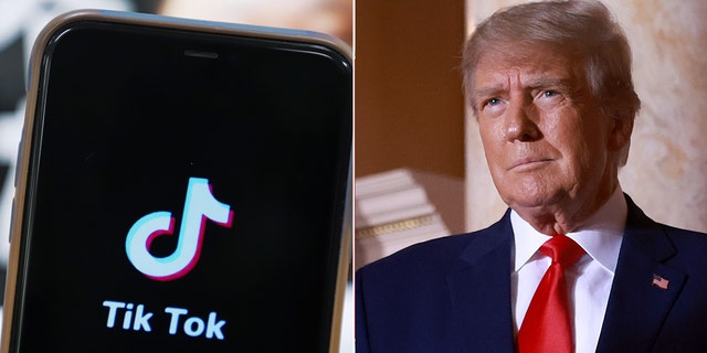 Twitter Up In Arms As Calls To 'ban TikTok' Grow: 'Trump Was Right ...