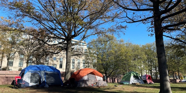 After years of proliferating homeless tent-cities popping up throughout Washington, D.C., the National Park Service (NPS) will be playing a crucial role in getting rid of them within the next 12 months.