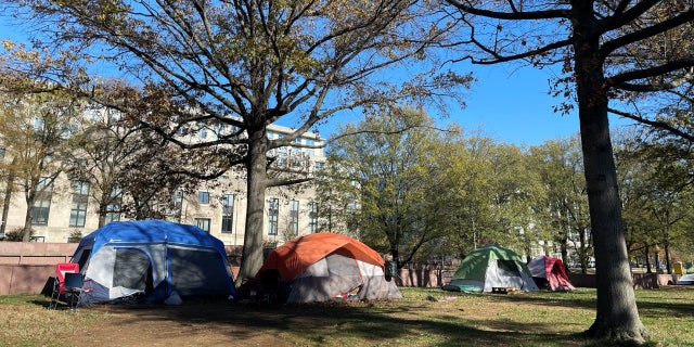 After years of proliferating homeless tent-cities popping up throughout Washington, D.C., the National Park Service (NPS) will be playing a crucial role in getting rid of them within the next 12 months.