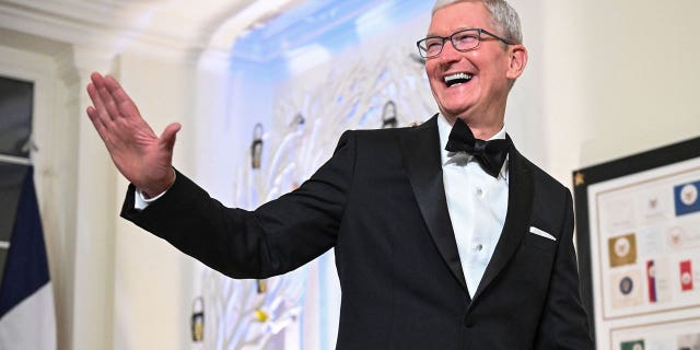 Biden Invites Liberal Celebs to Party With French President at Taxpayers' Expense 3 Apple CEO Tim Cook arrives at the White House to attend a state dinner honoring French President Emmanuel Macron, in Washington, DC, on December 1, 2022.