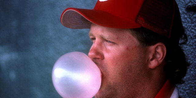 Cincinnati Reds' Tom Browning blows a bubble in the dugout during spring training in Tampa, Florida.