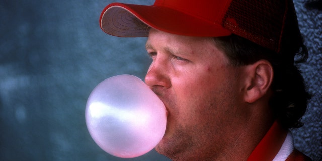 Cincinnati Reds' Tom Browning blows a bubble in the dugout during spring training in Tampa, Florida.