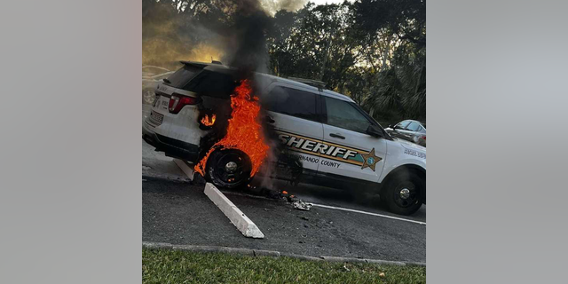 After allegedly setting the patrol car on fire, the sheriff's office said that Tarduno went back to the bar, but later returned to the crime scene to confess because he "felt bad."