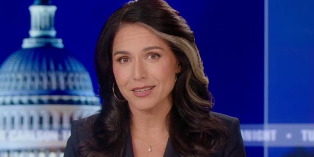 Tulsi Gabbard monologue