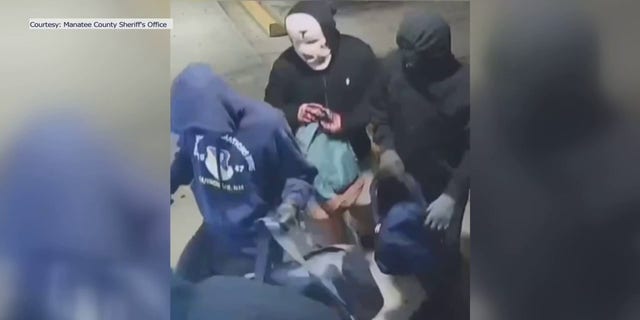 Five masked suspects are seen breaking into a vape shop in Manatee County, Fla. Authorities say multiple vape shops in the area have been burglarized in recent weeks.