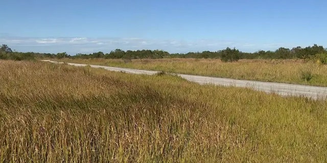The undeveloped subdivision on southwest Palm Bay known as "The Compound" by locals. 