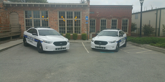 Waynesboro Police cars