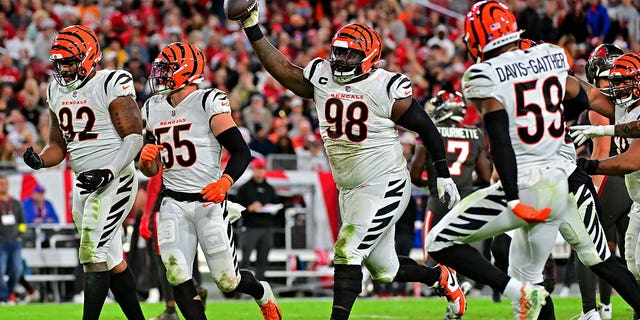 DJ Reader #98 of the Cincinnati Bengals celebrates a fumble recovery during the third quarter in the game against the Tampa Bay Buccaneers at Raymond James Stadium on December 18, 2022 in Tampa, Florida.