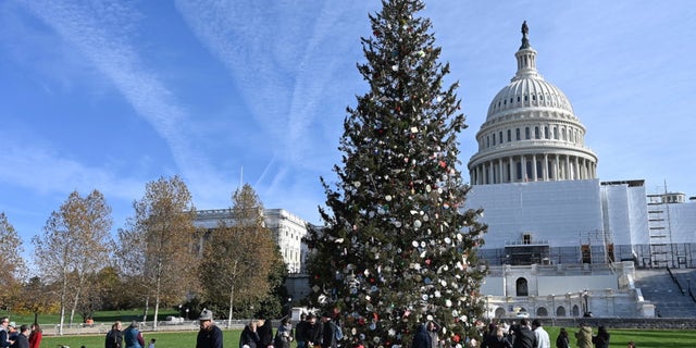Americans on the National Mall share what gifts they would put under the Christmas tree for members of the opposite political party in order to bridge the political divide. 