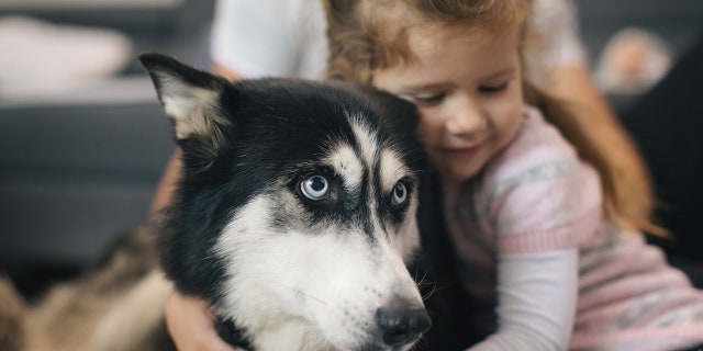 A little girl hugs a dog in this photo. "Sometimes kids just don't have the language. They don't have the words to describe what they've just been through," one expert said. 