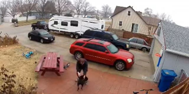 A helpful pit bull assisted his owner walk up an icy driveway after he struggled to get traction in Kearney, Neb., Dec. 8
