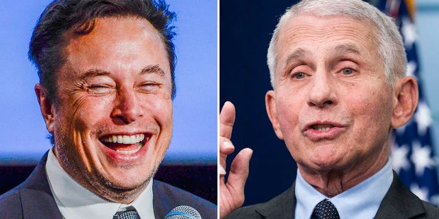 On the left, Tesla CEO Elon Musk smiles as he addresses guests at the Offshore Northern Seas 2022 (ONS) meeting in Stavanger, Norway on August 29, 2022. On the right, Dr. Anthony Fauci speaks about the coronavirus during the White House press briefing on Tuesday, November 22, 2022.