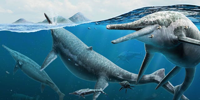 Scientists have discovered new clues regarding a mysterious fossil site on giant reptiles that once dominated the ancient seas. Studies suggest the site may not be a massive graveyard but a maternity ward for the marine mammals.