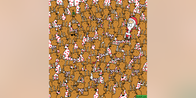 Try to find Rudolph in this sea of reindeer!