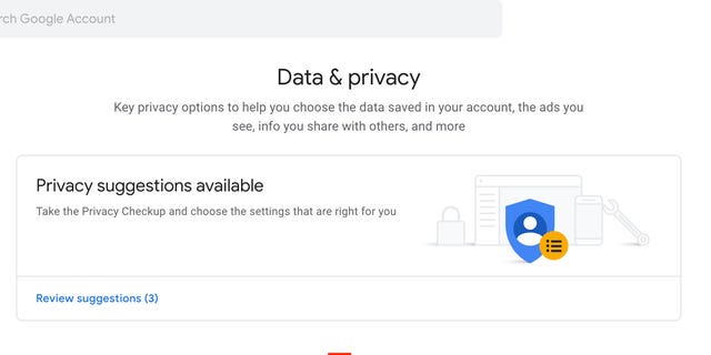 Google मा डेटा र गोपनीयता स्क्रिन। 
