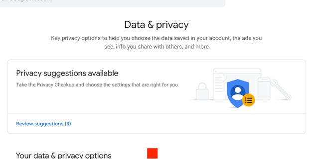 Data and privacy screen on Google.