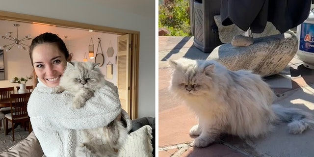 Victoria "Tori" Taillac posted a video on TikTok explaining how she obtained her new cat Loki – which was included in the purchase of her new home in Utah. The footage garnered over half a million views on the platform.