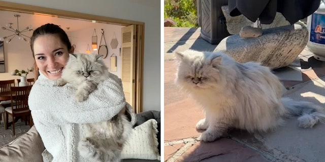 Victoria "Tori" Taillac posted a video on TikTok explaining how she obtained her new cat Loki — which was included in the purchase of her new home in Utah. The footage garnered over half a million views on the platform.