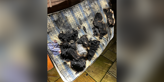 Dog accidentally sets house on fire