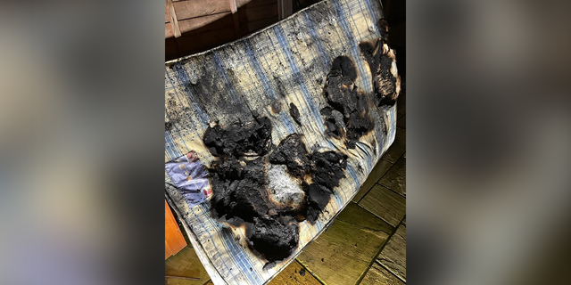 Dog accidentally sets house on fire