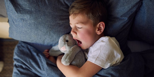 A little boy yawns and sleeps in his bed while snuggling a stuffed animal. Those who slept less "than the recommended amount were found to have higher rates of obesity, diabetes and high blood pressure," said one medical professional about the new study out of Columbia University in New York City. 